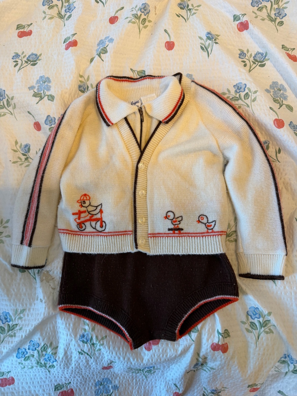 Vintage Cardigan wDuck Embroidery outfit
